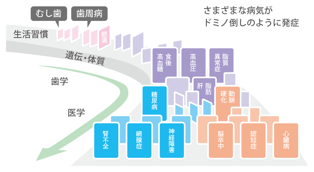 メタボリックドミノ